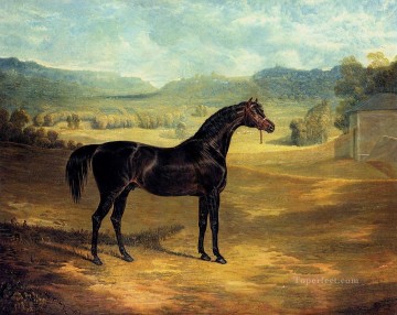 馬 Painting - ベイスタリオン ジャック スピゴット ニシン シニア ジョン フレデリック馬